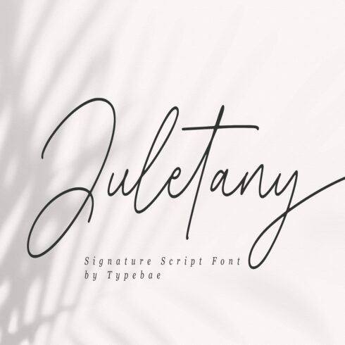 Juletany Signature Script Font cover image.