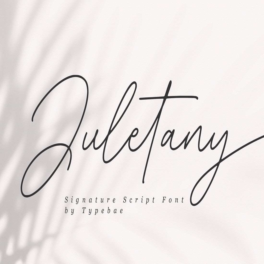 Juletany Signature Script Font cover image.