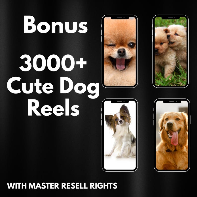 1000052555 838