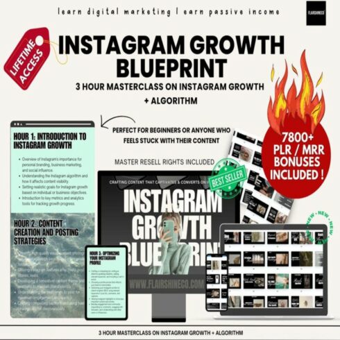The Instagram Growth Blueprint with Master Resell Rights Done For You Mini Instagram Course plus SIX Bonuses w/ MRR & Private Label Rights digital cover image.