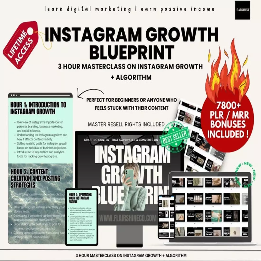 The Instagram Growth Blueprint with Master Resell Rights Done For You Mini Instagram Course plus SIX Bonuses w/ MRR & Private Label Rights digital cover image.