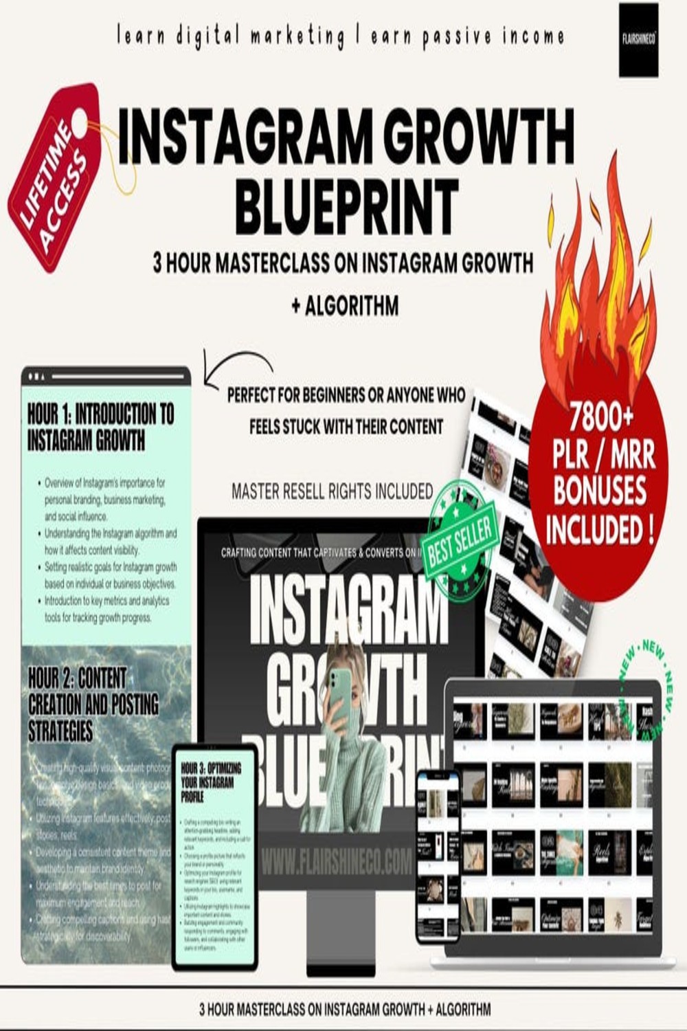 The Instagram Growth Blueprint with Master Resell Rights Done For You Mini Instagram Course plus SIX Bonuses w/ MRR & Private Label Rights digital pinterest preview image.