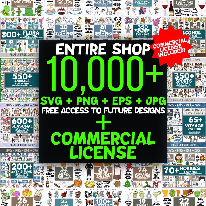 1000056704 303