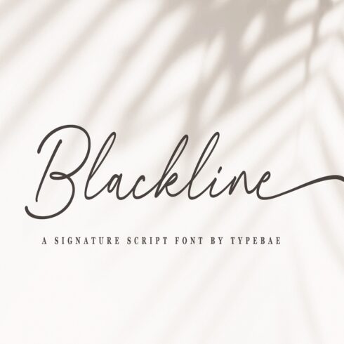 Blackline - Script Font with Swash cover image.