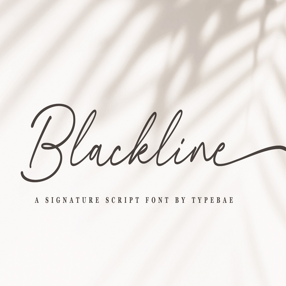 Blackline - Script Font with Swash cover image.