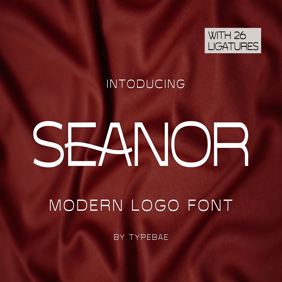Seanor - Modern Logo Font preview image.