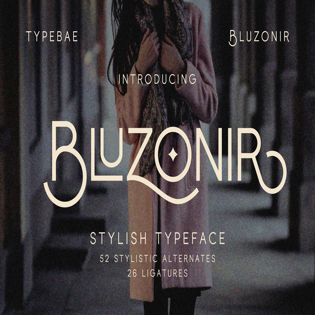 Bluzonir - Stylish Sans Serif Font preview image.