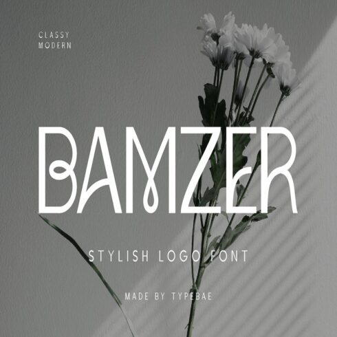 Bamzer Stylish Logo Font cover image.