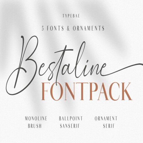 Bestaline - 5 Fonts & Ornaments cover image.