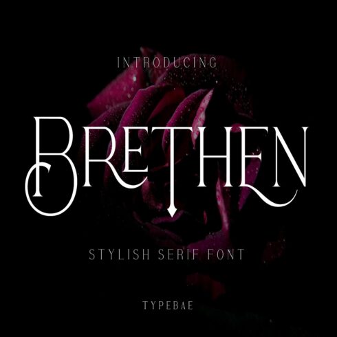 Brethen - Stylish Serif Font cover image.