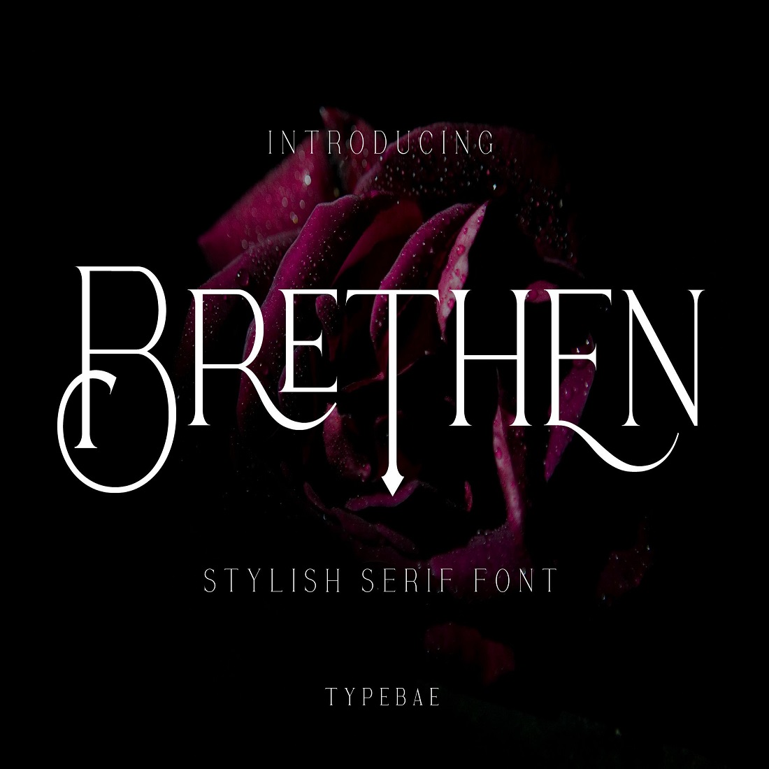 34 brethen stylish serif font 575