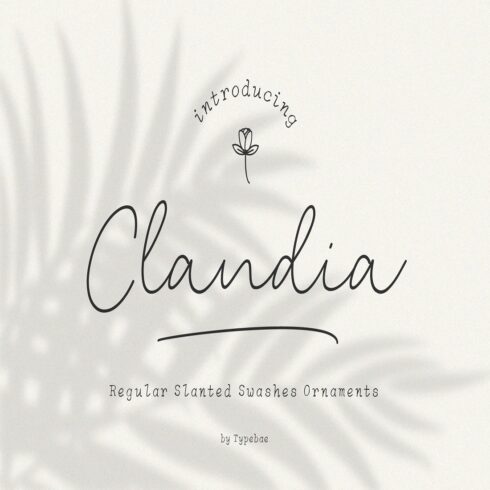 Clandia Monoline Script & Ornaments cover image.