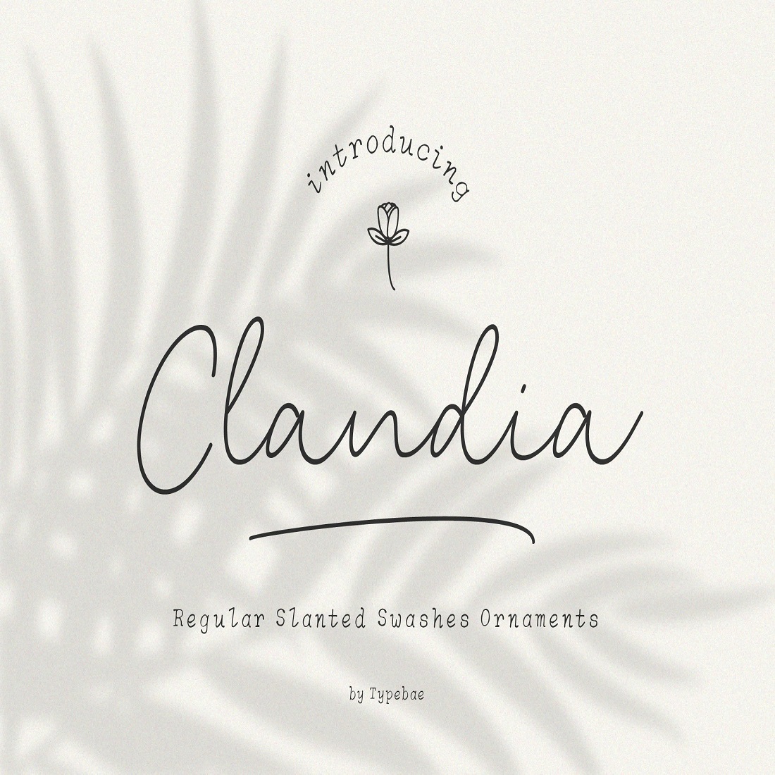 Clandia Monoline Script & Ornaments preview image.