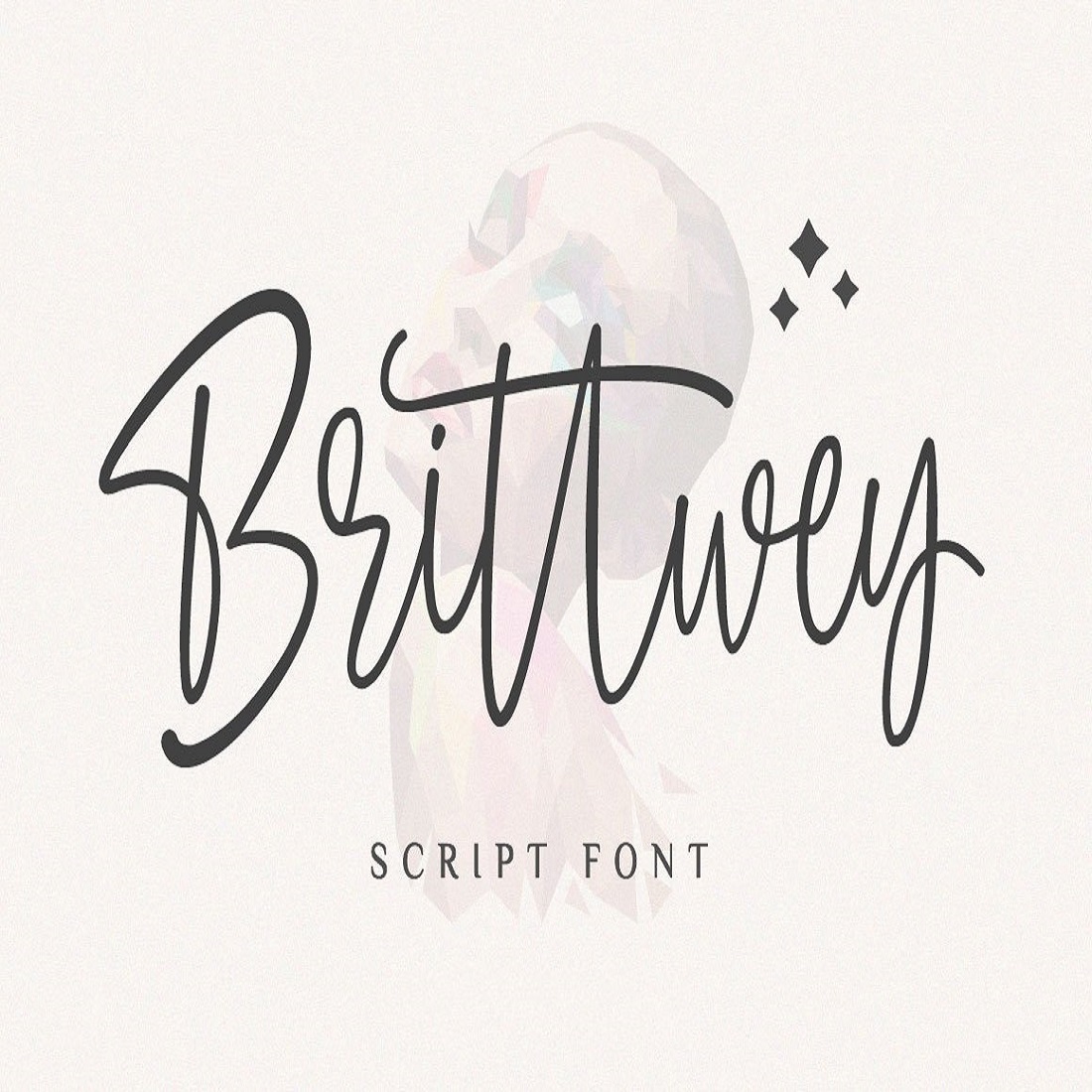 Brittwey - Handwritten Script Font preview image.