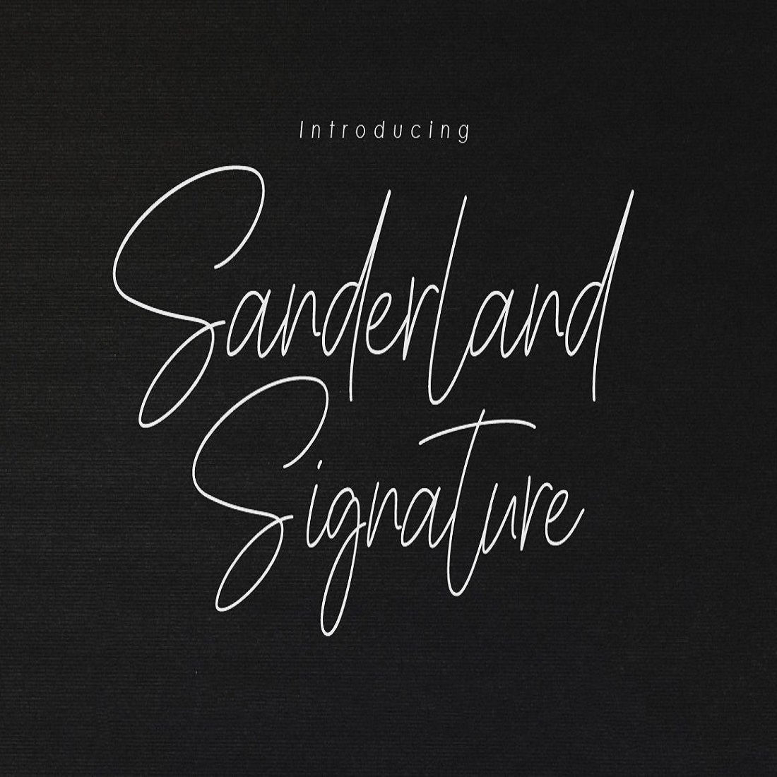 43 sanderlaand signature script font 853
