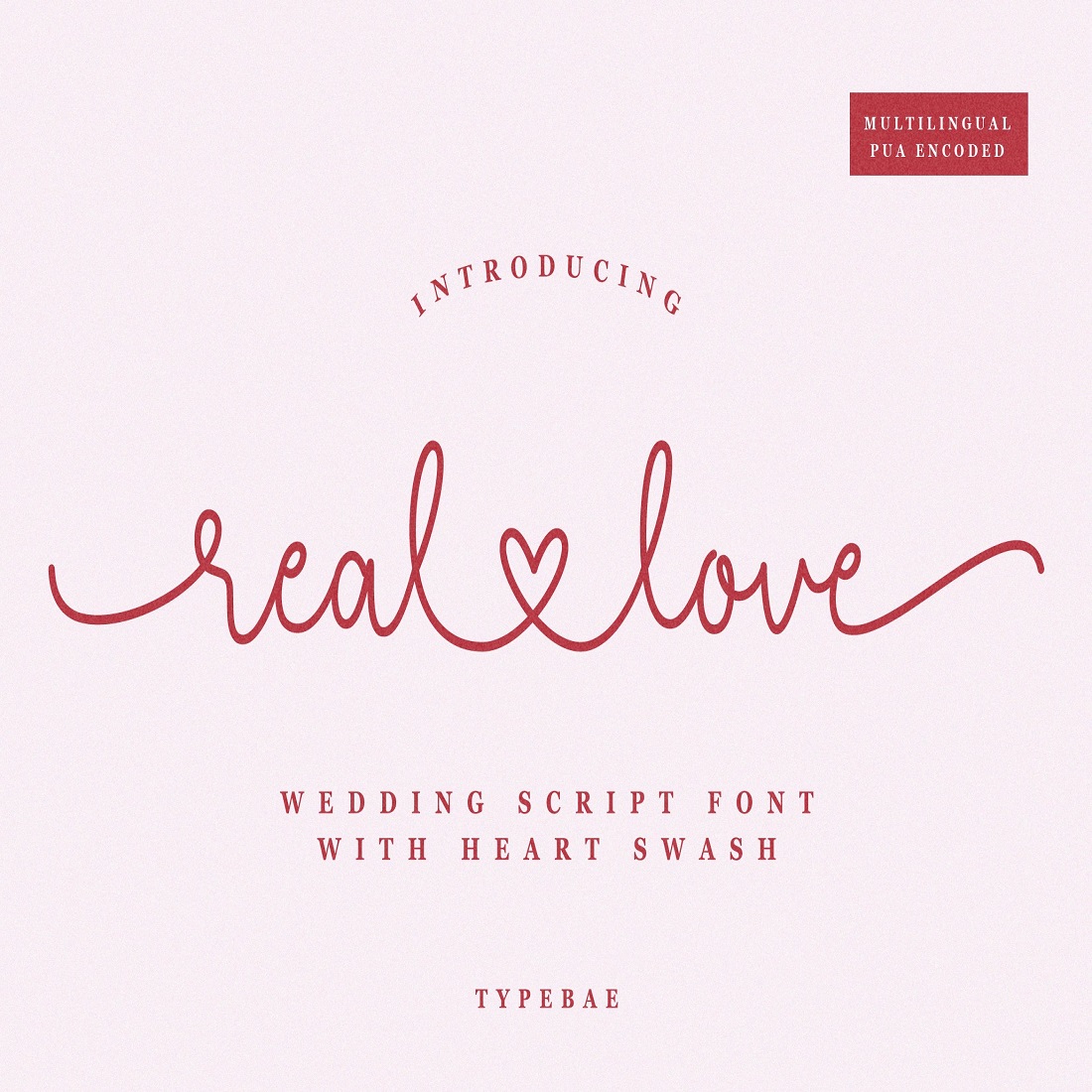 6 real love heart swash script font 570
