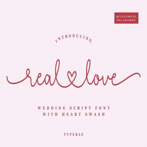 Real Love - Heart Swash Script Font cover image.