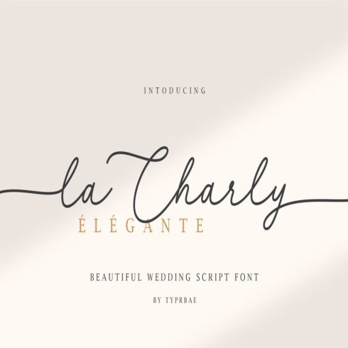 La Charly Wedding Script Font cover image.