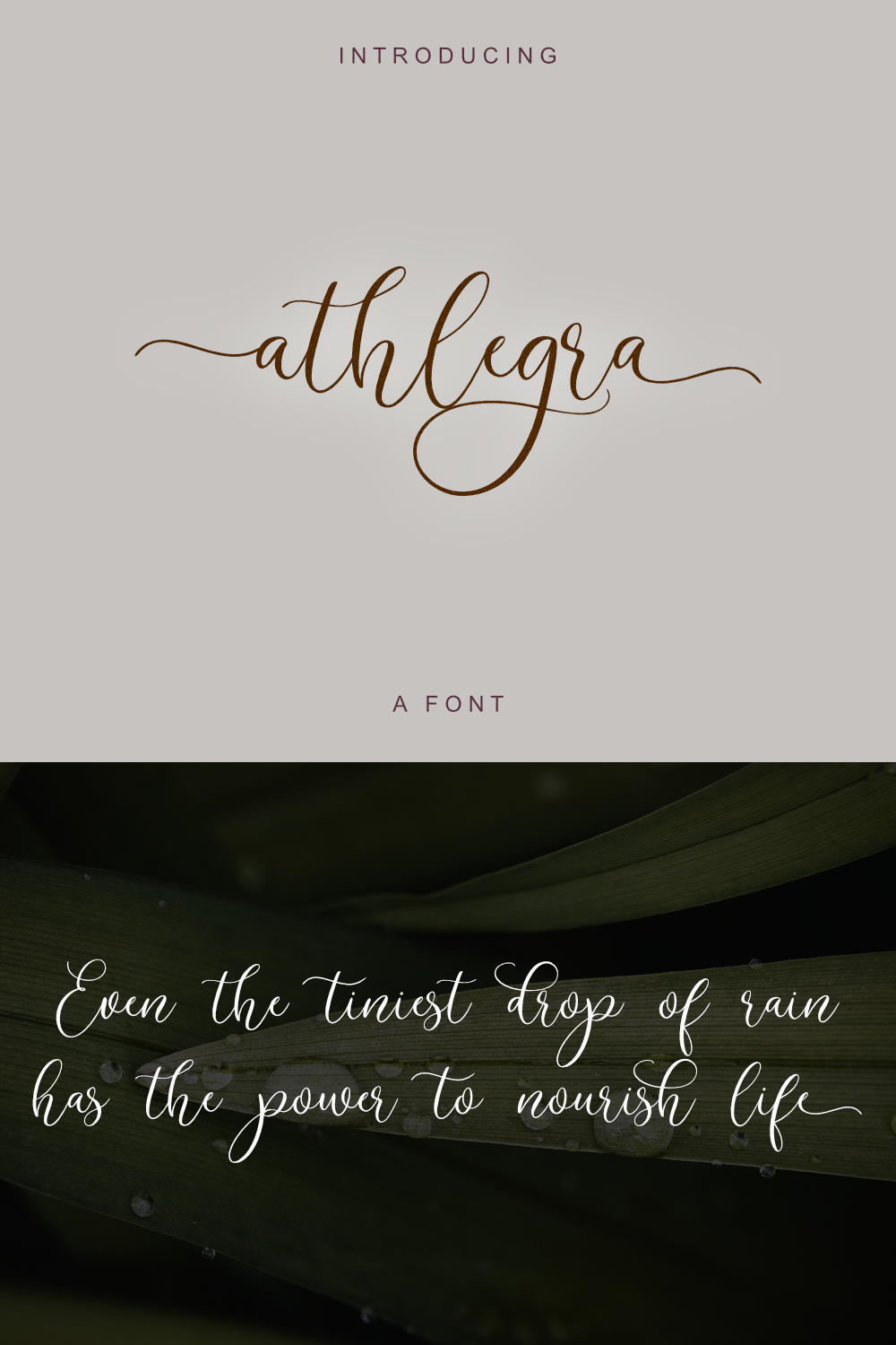 athlegra Script Font pinterest preview image.