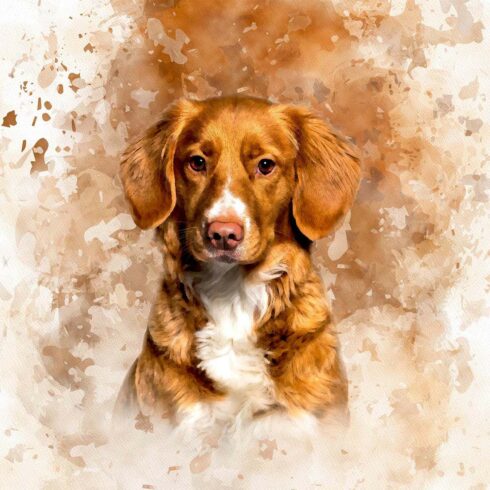 Personalized Digital Pet Portraits cover image.