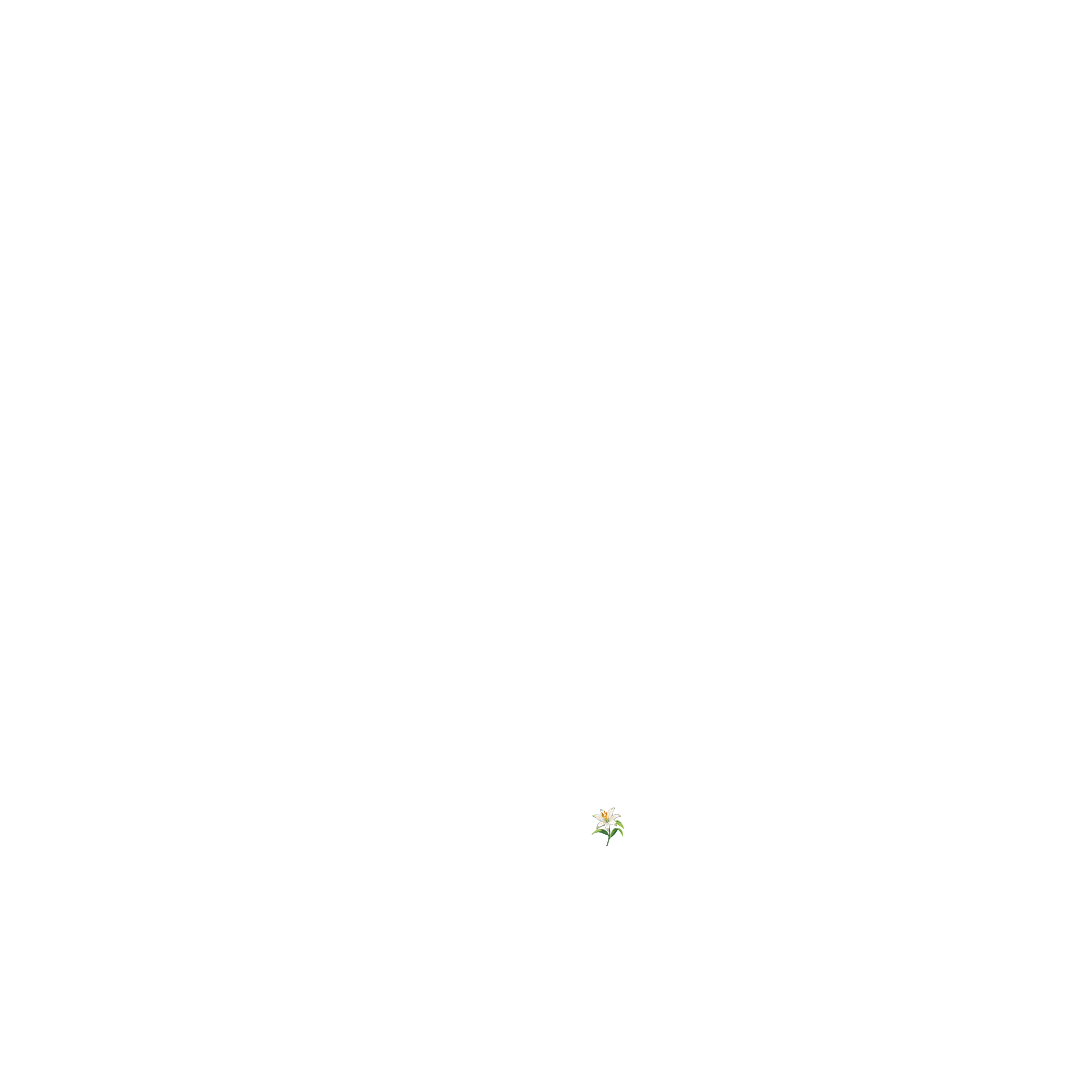 lillys villa 03 710