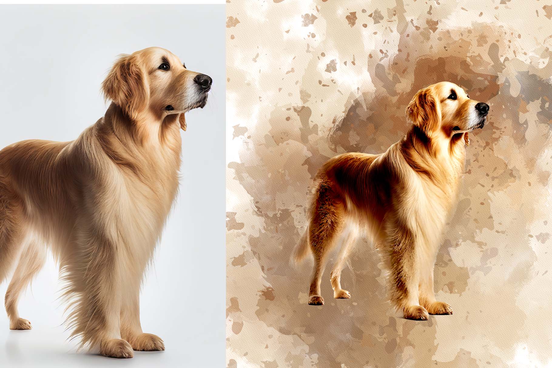 personalized digital pet portraits 11 669