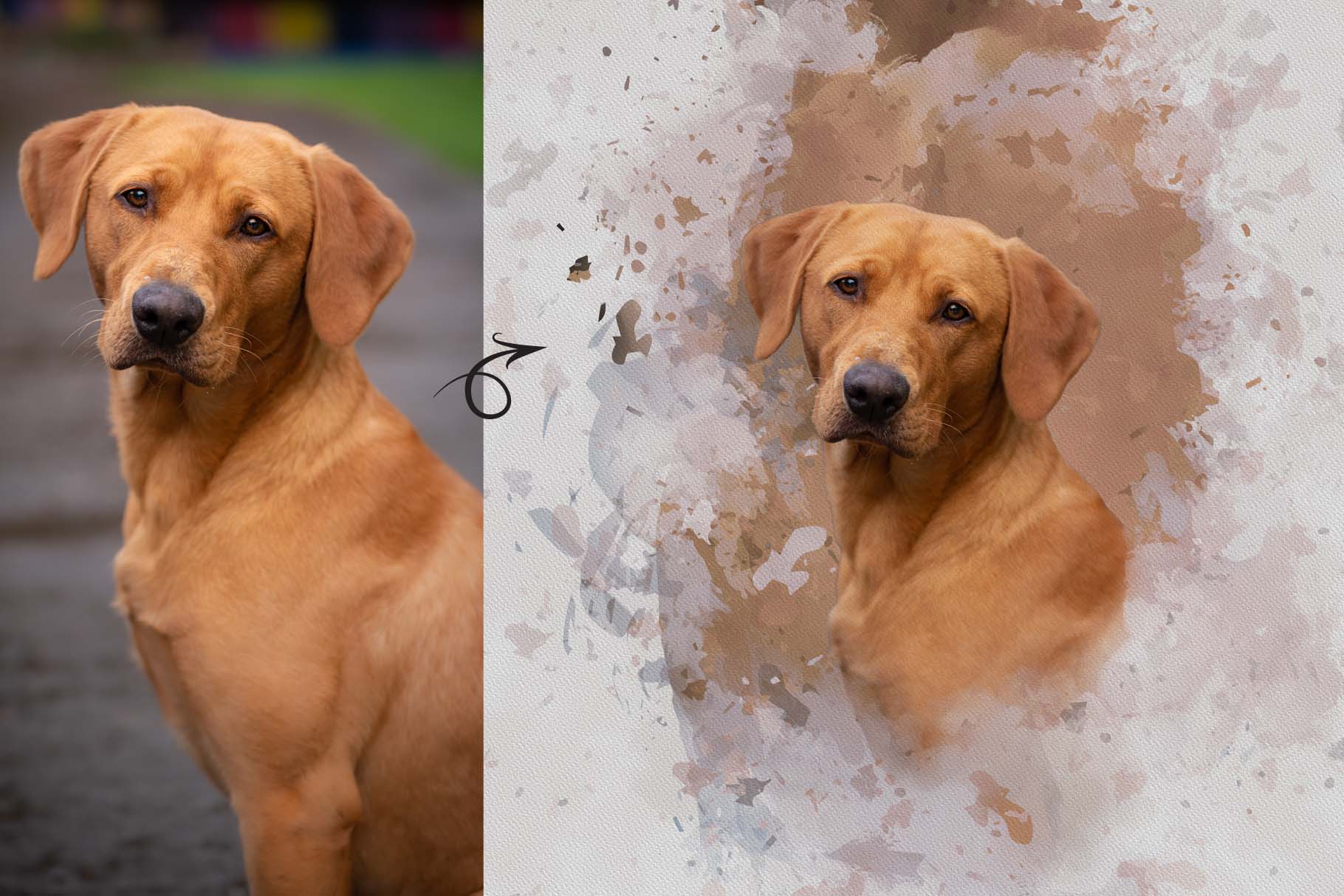 personalized digital pet portraits 12 993