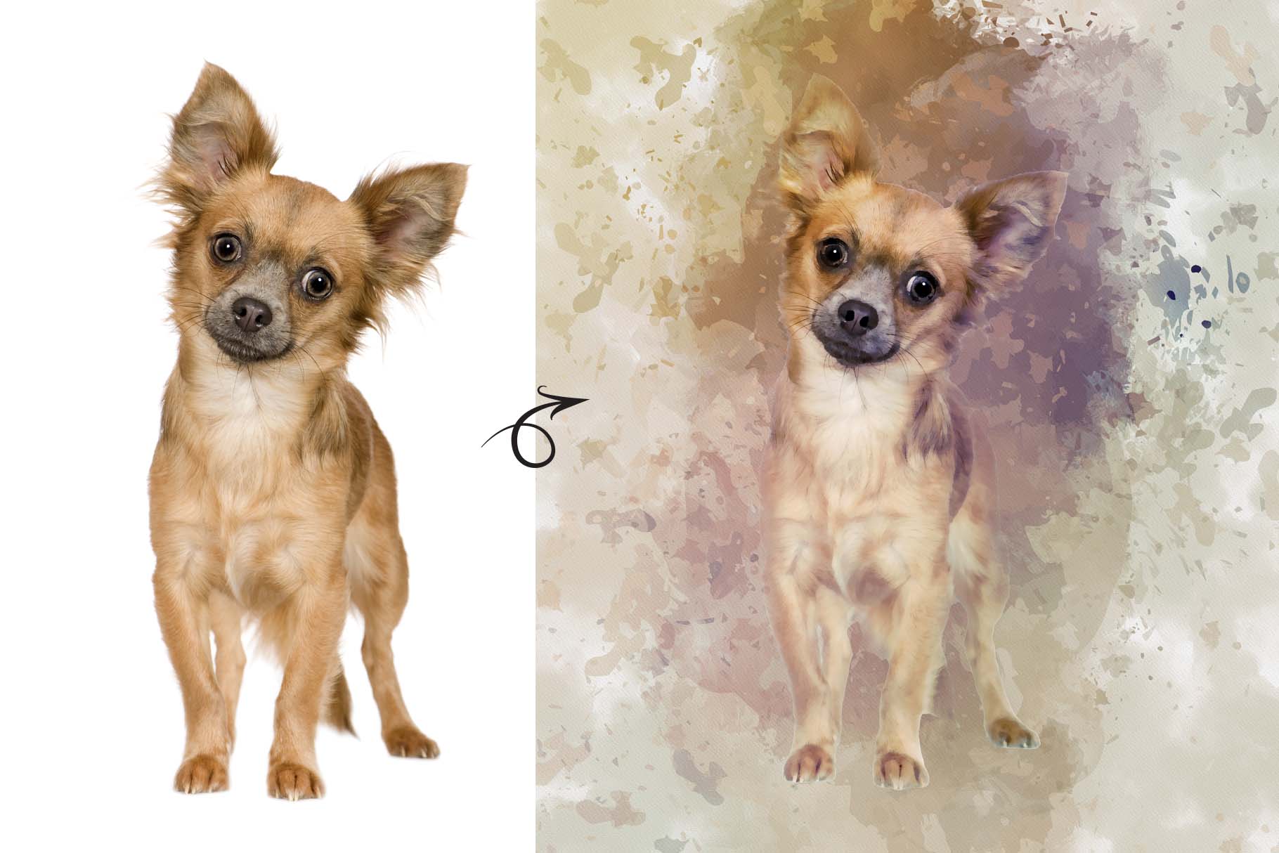 personalized digital pet portraits 14 346