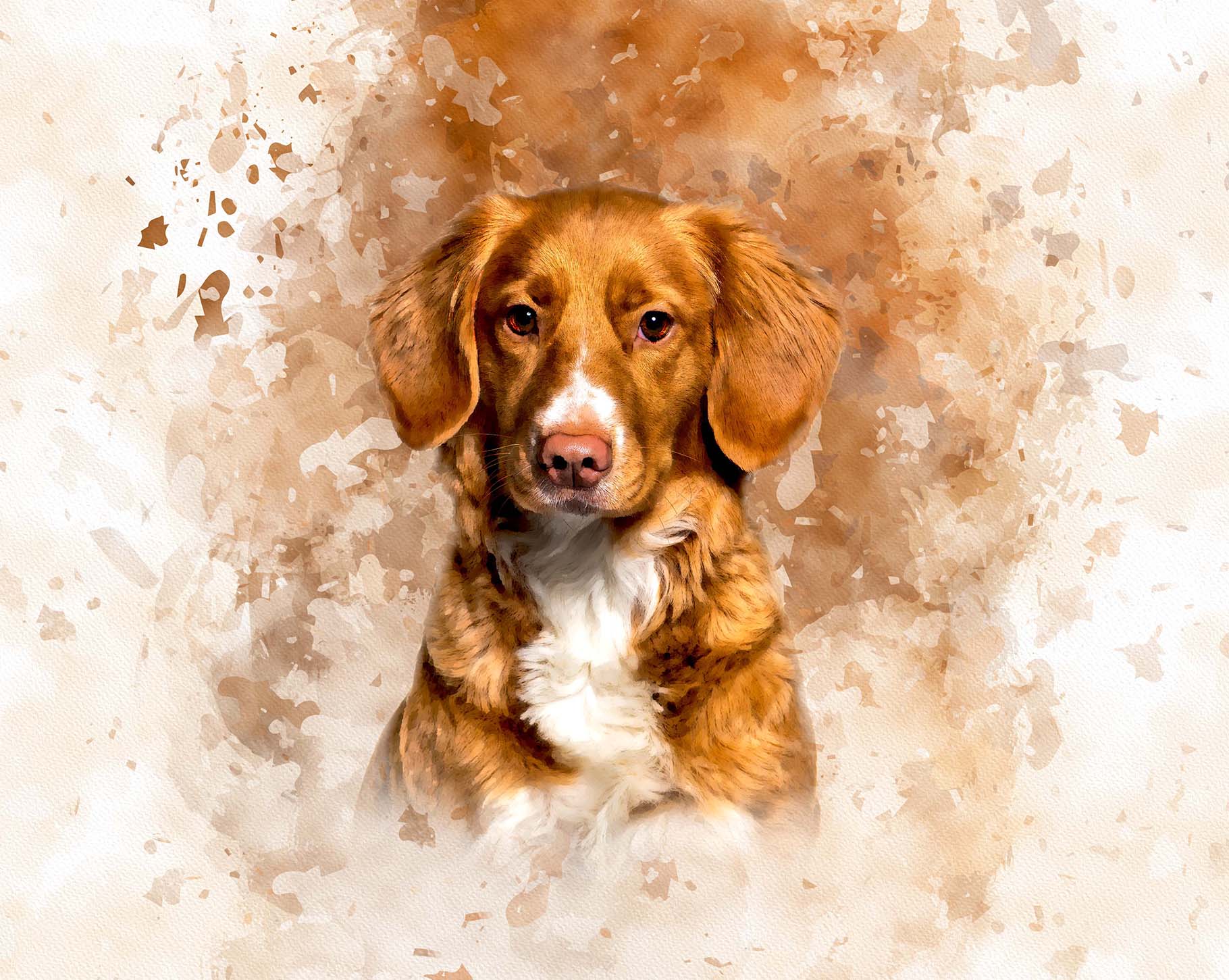 personalized digital pet portraits 19 293