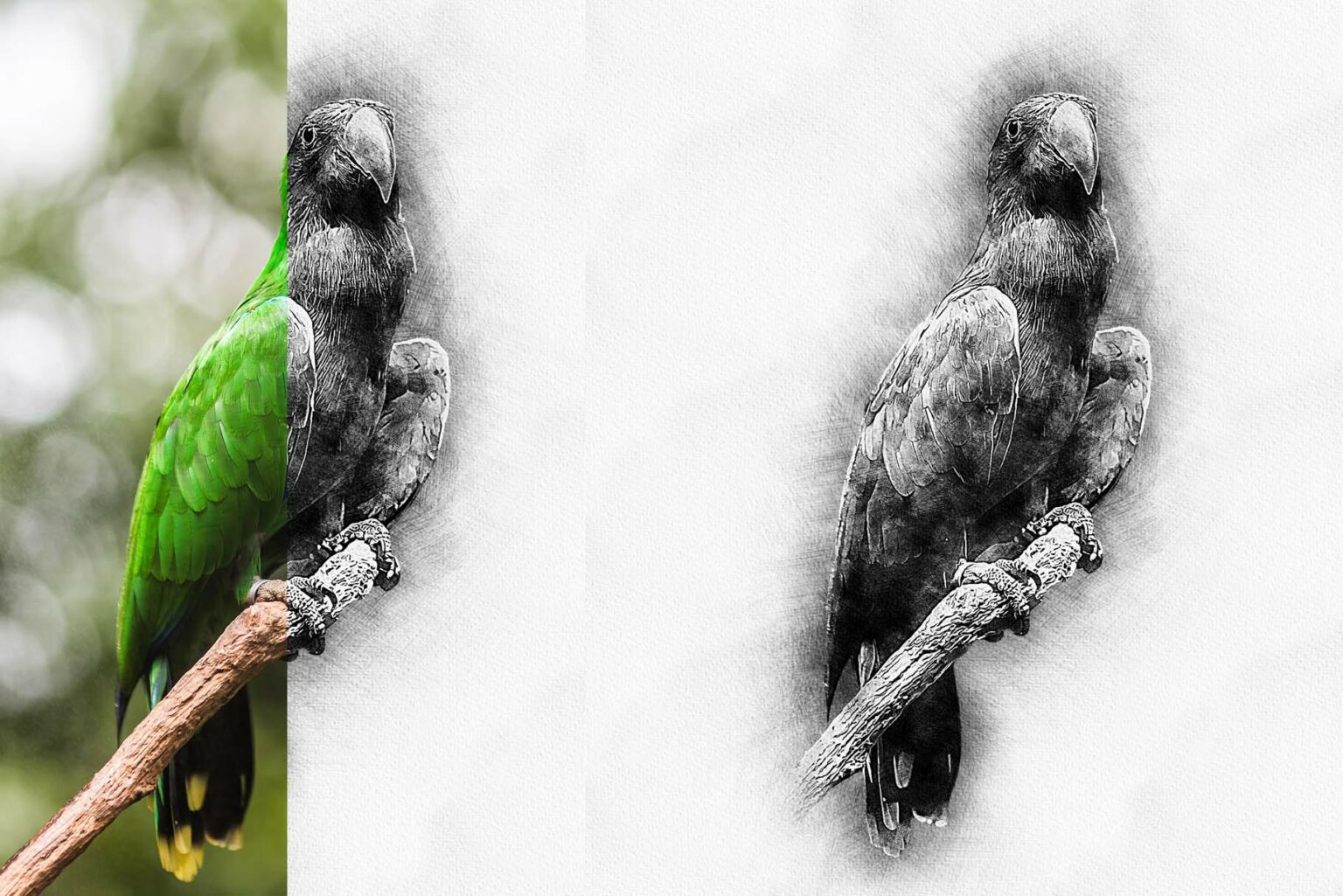 Realistic Pencil Sketch - MasterBundles