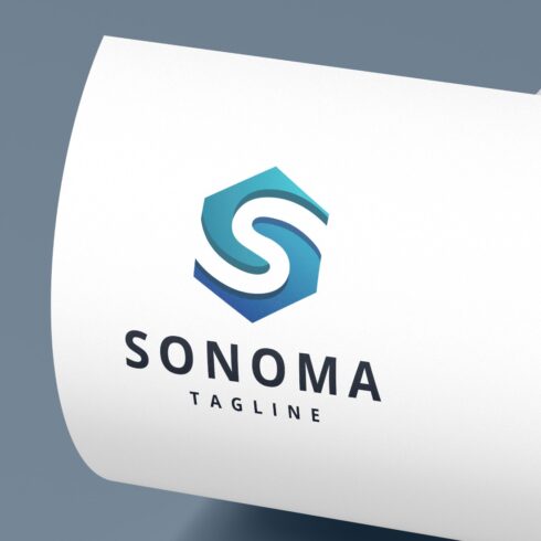 Hexagonal S Letter Logo cover image.