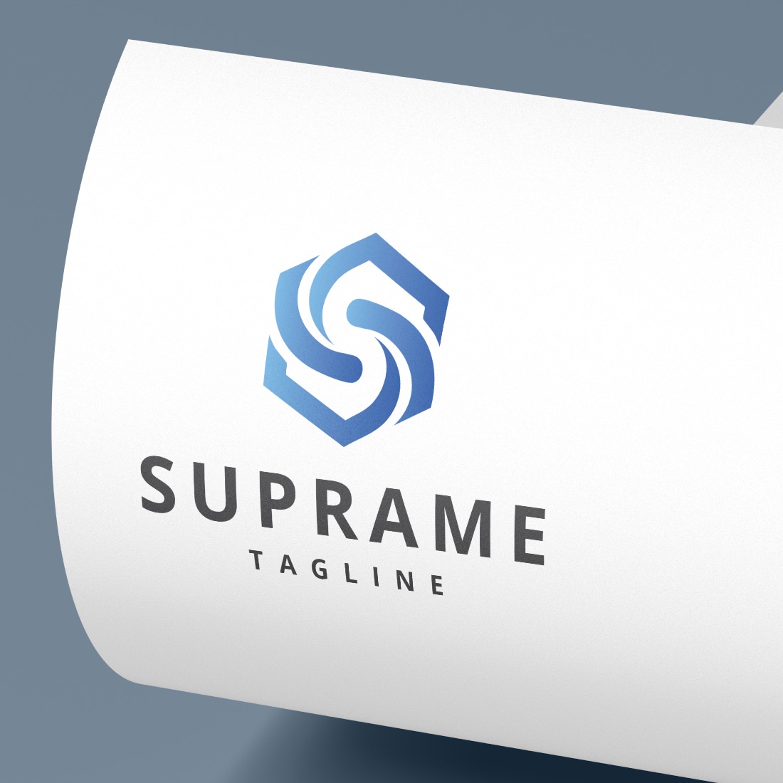 Hexagonal Flowing S Letter Logo preview image.