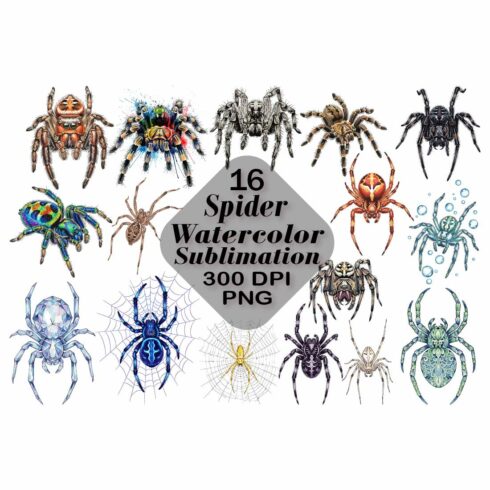 Spider Watercolor Sublimation cover image.