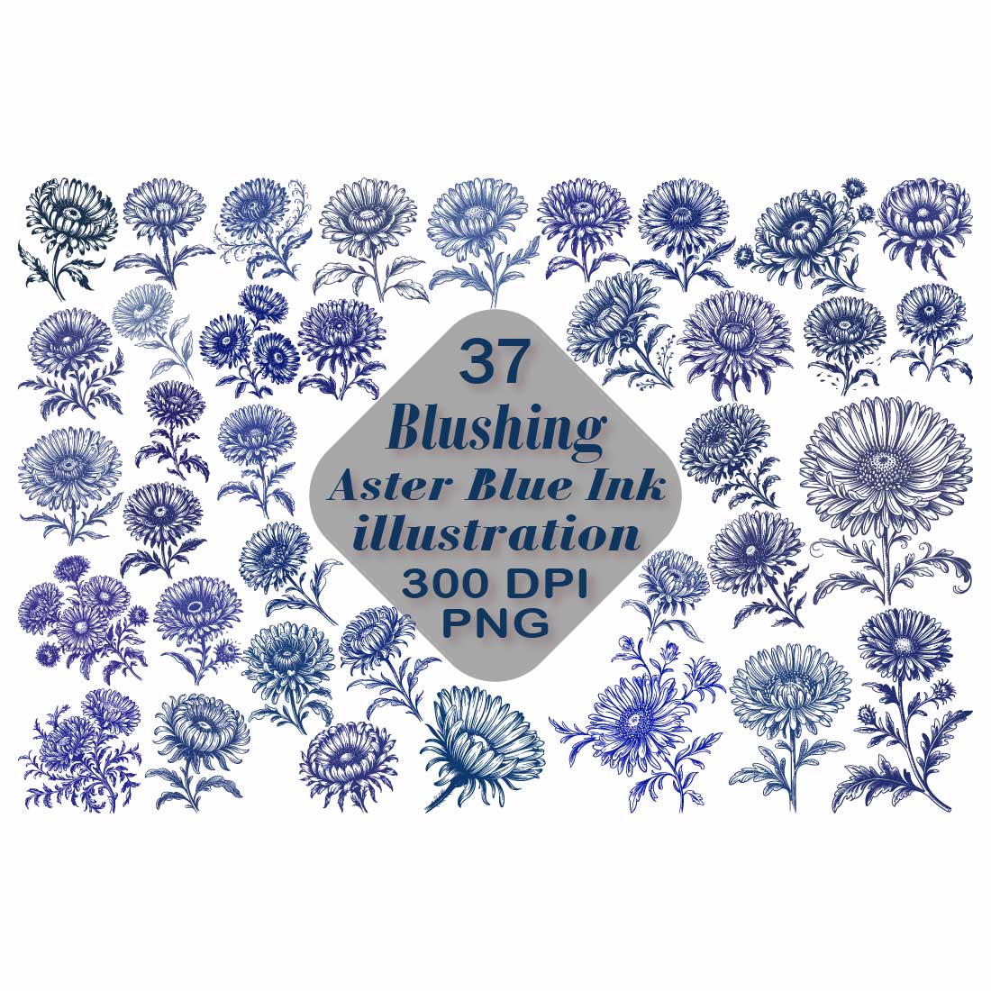 Aster Blue Ink Illustrations PNG preview image.