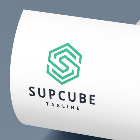 Geometric Hexagon S Letter Logo cover image.