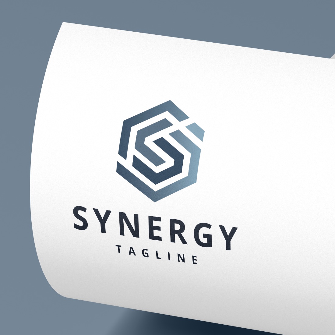 Geometric Hexagon S Letter Logo cover image.
