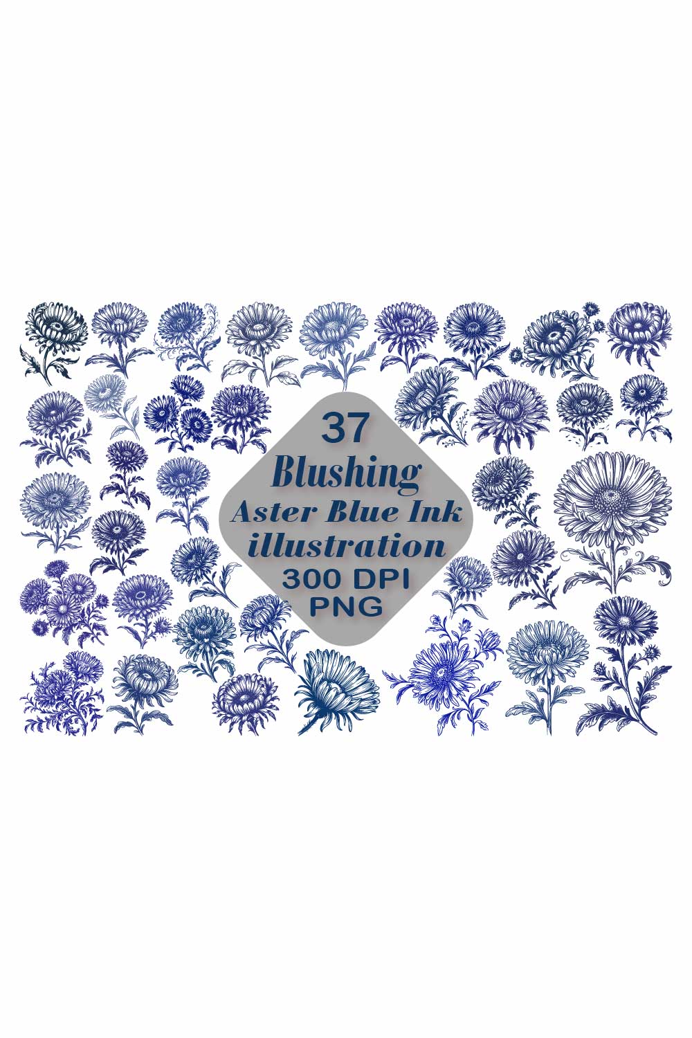 Aster Blue Ink Illustrations PNG pinterest preview image.
