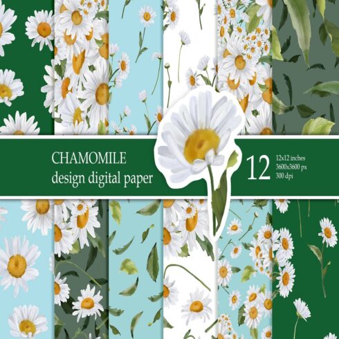 Chamomile Patterns Digital paper pack cover image.