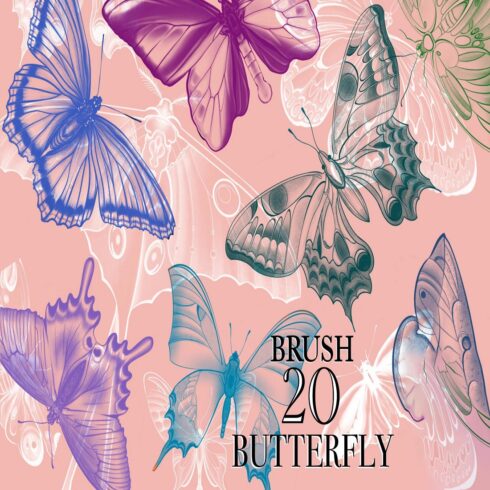 Butterflies and Moths Procreate Brush Stamps cover image.