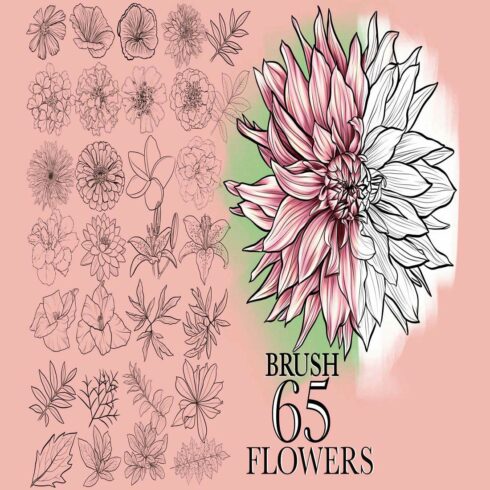 Flower Stamp Brushes cover image.