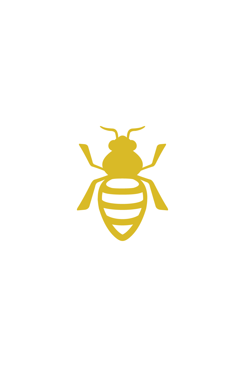 honey Bee animals vector design pinterest preview image.