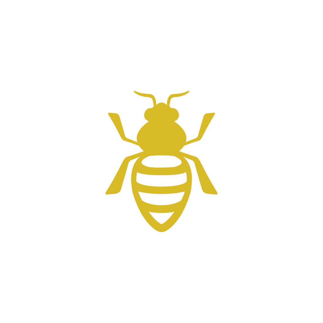 honey Bee animals vector design cover image.