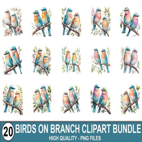 Birds on Branch Clipart Bundle cover image.