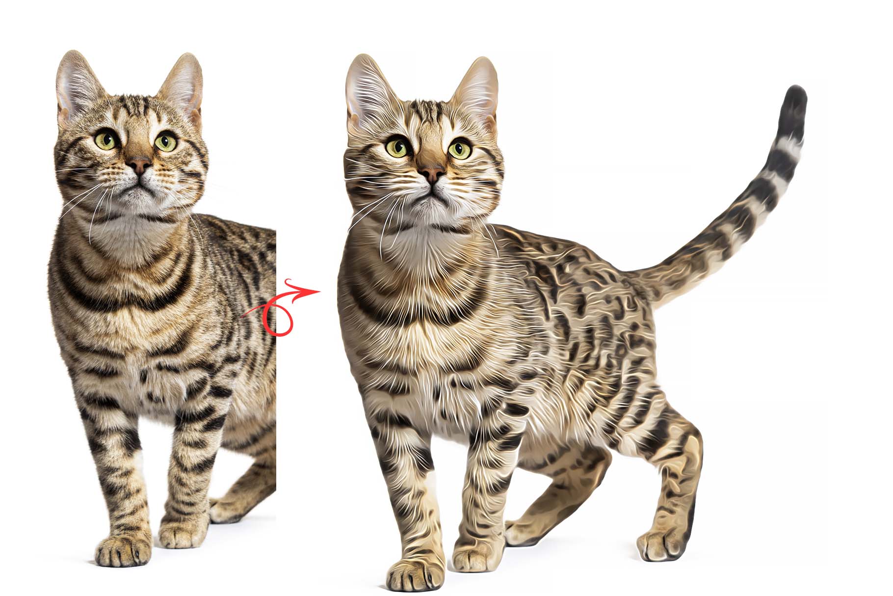 cat oil paint 1 492
