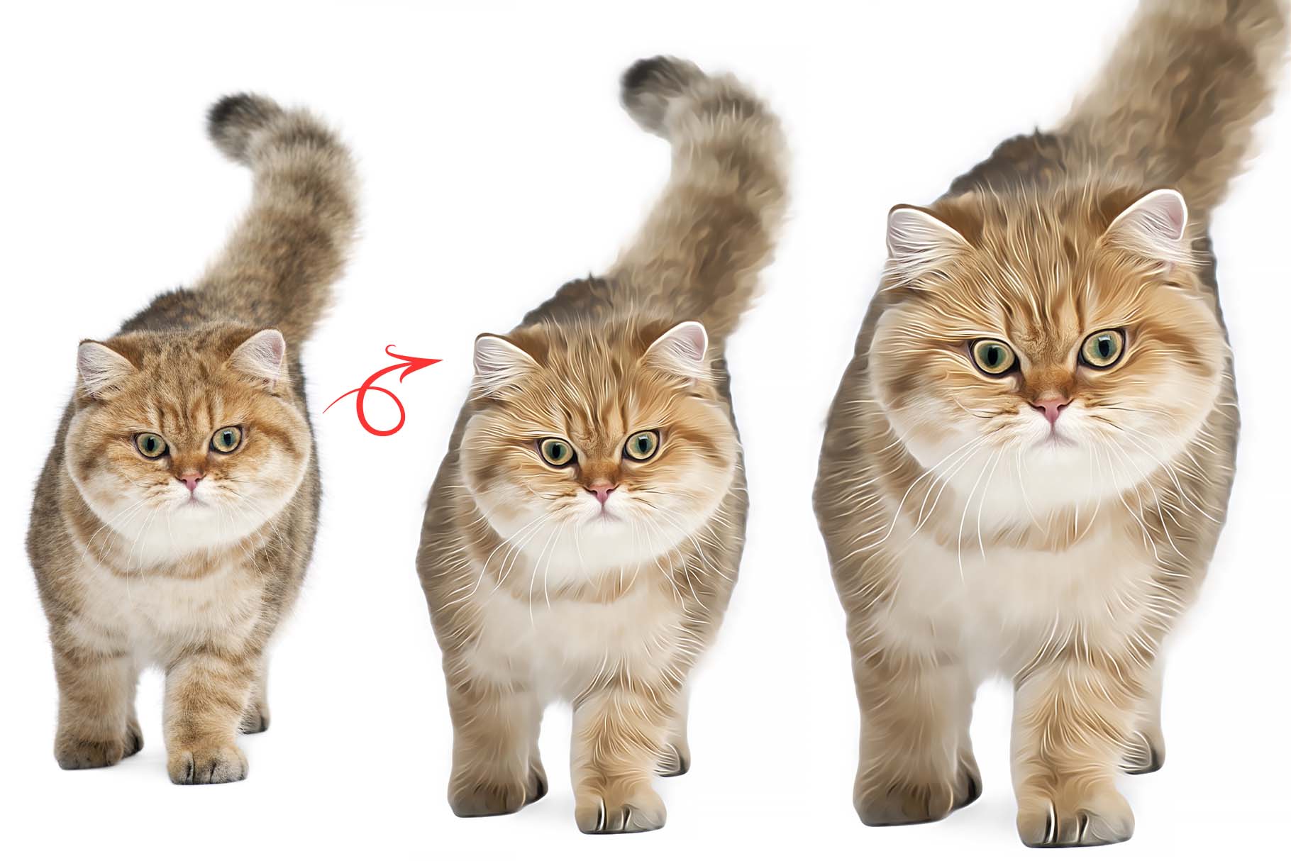 cat oil paint 2 991