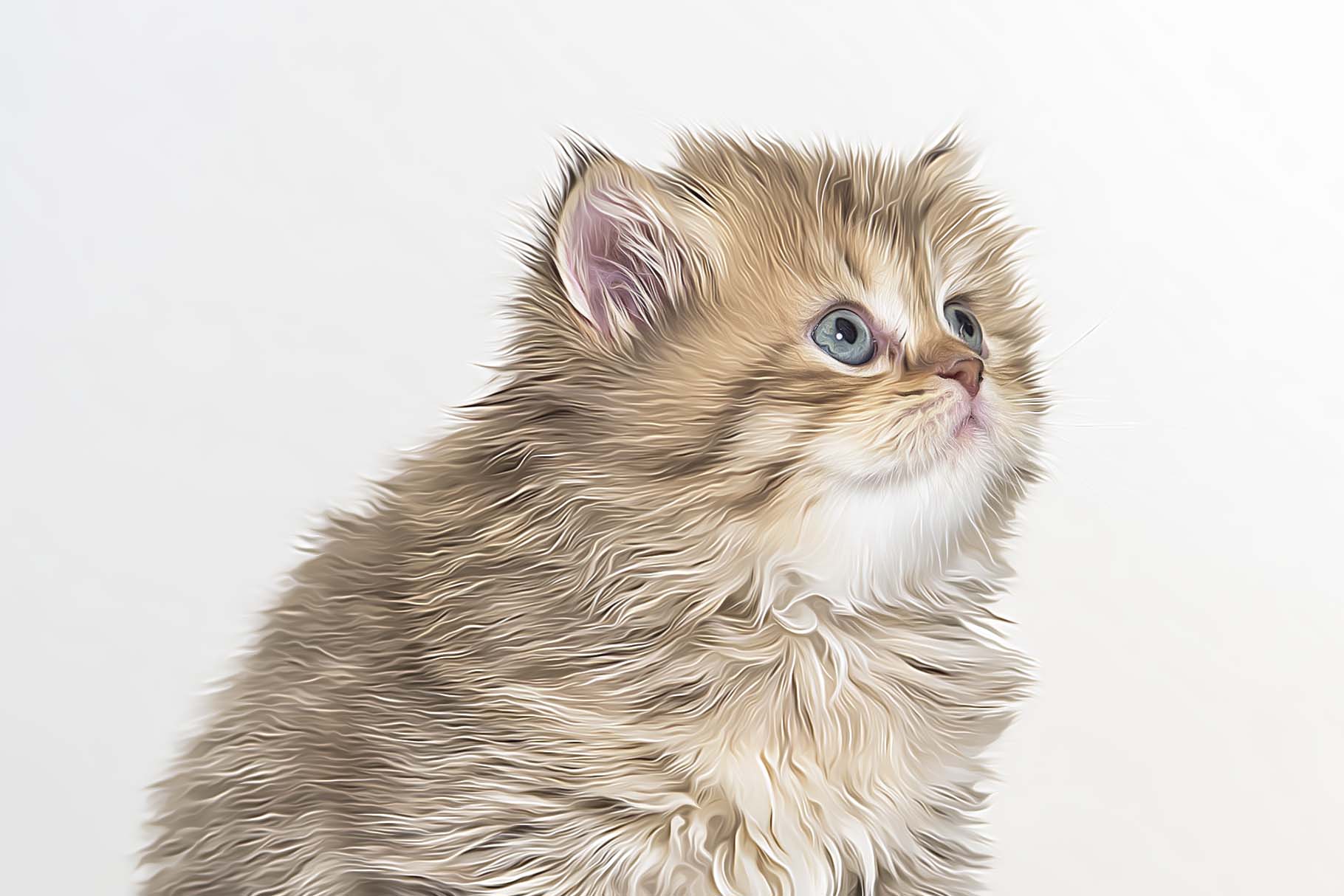 cat oil paint 4 90
