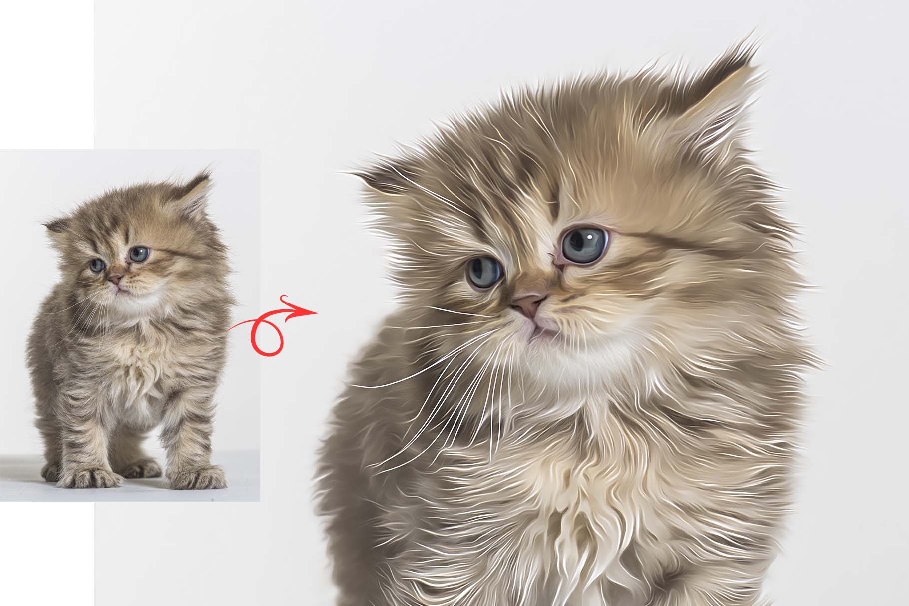 cat oil paint 5 201