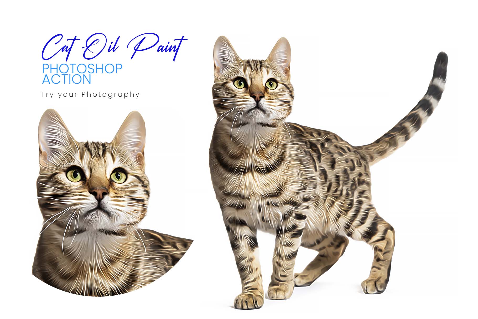 cat oil paint 941