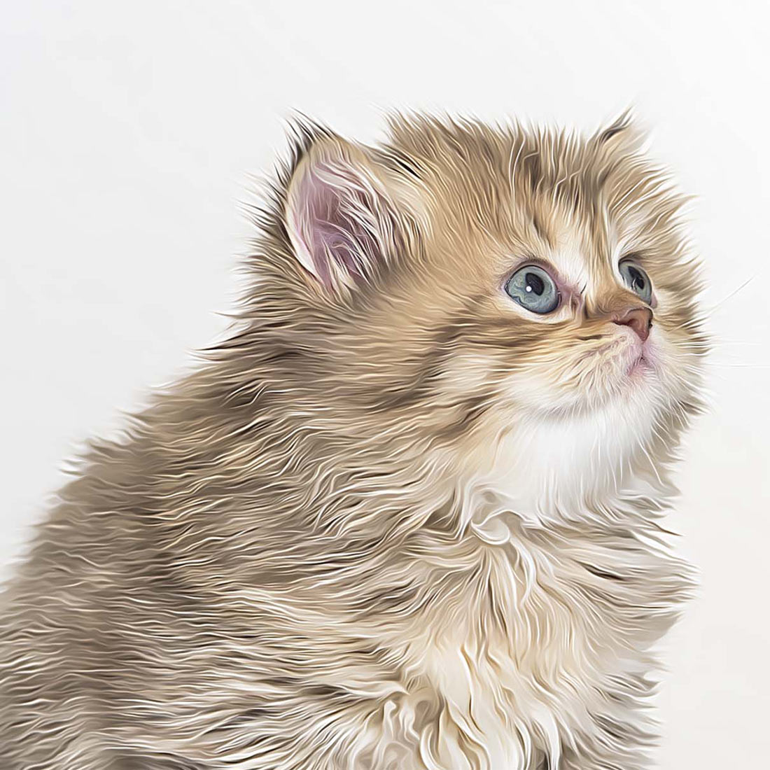 Cat and Pet Oil Painting preview image.