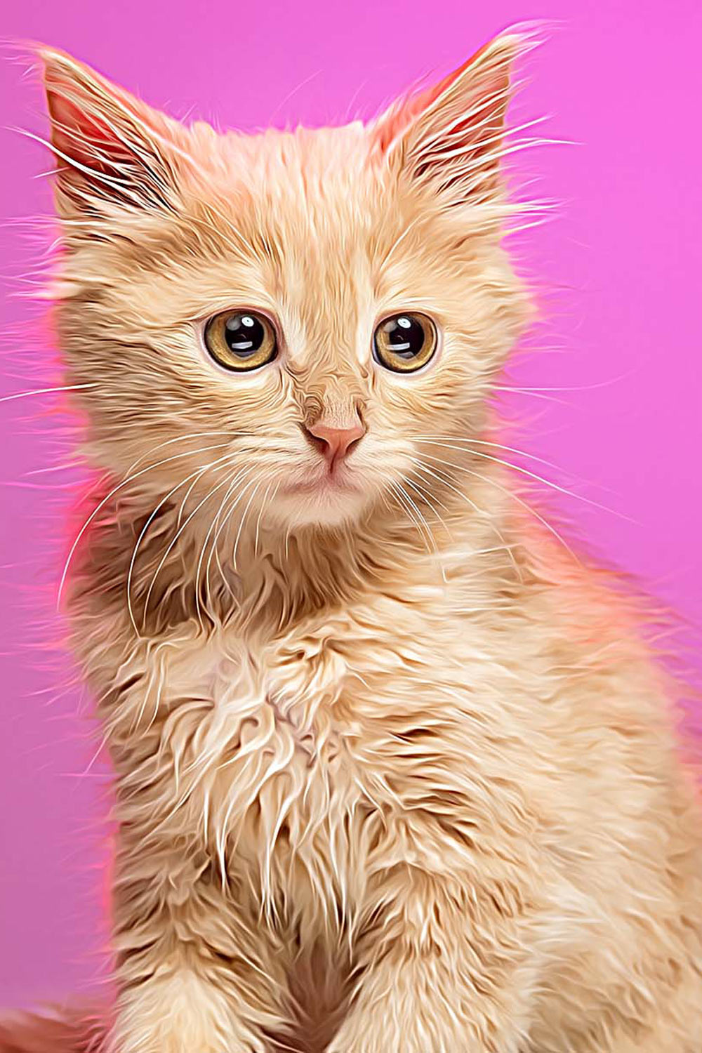 Cat and Pet Oil Painting pinterest preview image.
